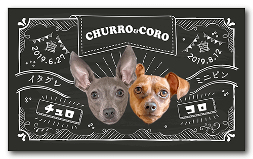 長方形ペット名刺の表面画像