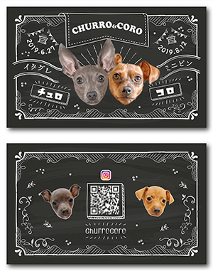 犬のペット名刺