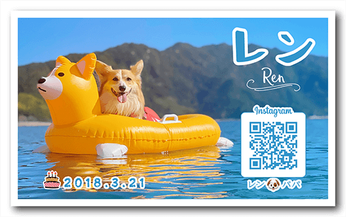 長方形ペット名刺の表面画像