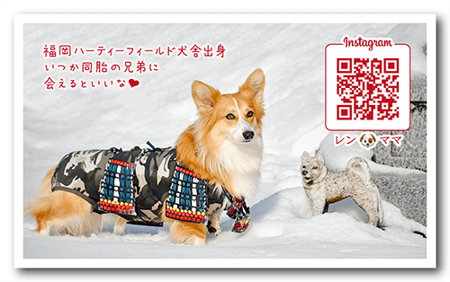 長方形ペット名刺の裏面画像