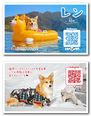 犬のペット名刺