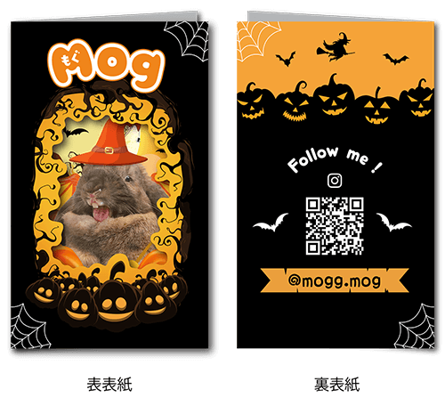 2つ折り型抜きペット名刺の外面画像