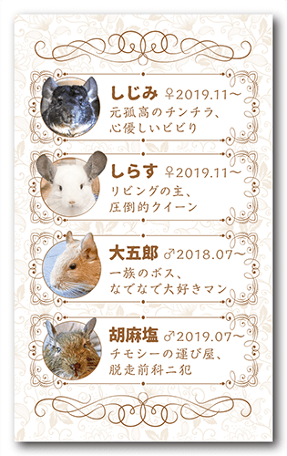 長方形ペット名刺の裏面画像