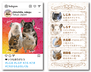 チンチラとデグーの（多頭飼い）2種類の型抜きペット名刺