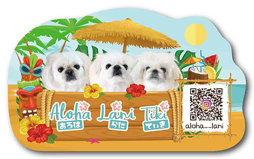 ペット名刺の表面画像