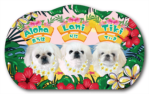 ペット名刺の表面画像