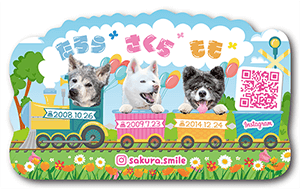 犬（多頭飼い）のペット名刺