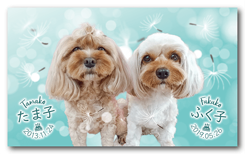 長方形ペット名刺の表面画像