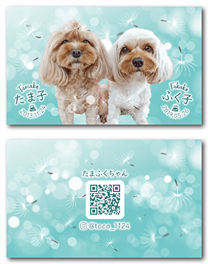 犬のペット名刺