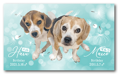 長方形ペット名刺の表面画像