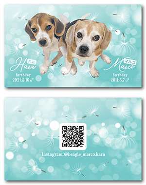 犬のペット名刺