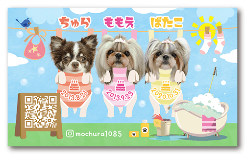 長方形ペット名刺の表面画像
