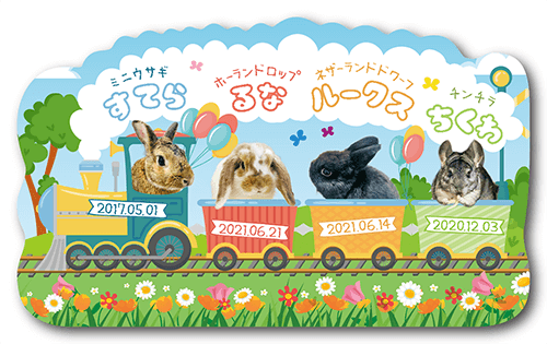 型抜きペット名刺の表面画像