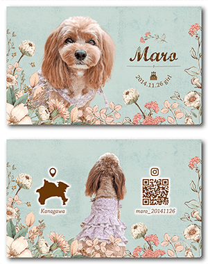 犬のペット名刺