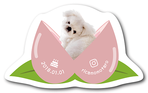 ペット名刺の裏面画像