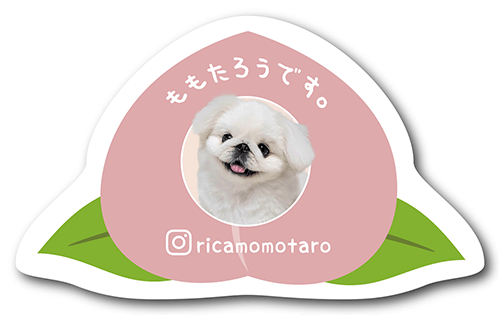 ペット名刺の表面画像