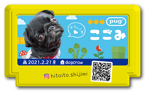 ペット名刺画像