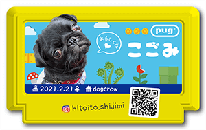 犬のペット名刺