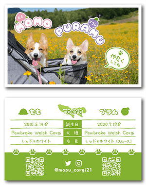 犬（多頭飼い）のペット名刺