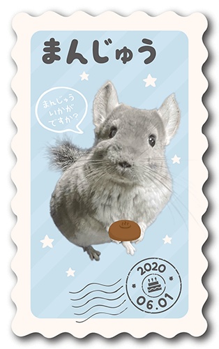 長方形ペット名刺の表面画像