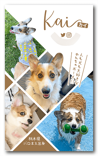 犬の長方形ペット名刺画像