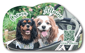 うさぎのペット名刺