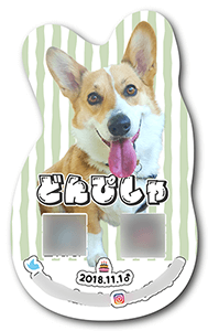 犬のペット名刺