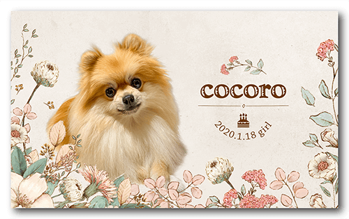 長方形ペット名刺の表面画像