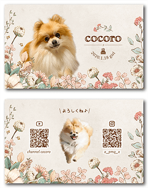 チンチラ（多頭飼い）のペット名刺