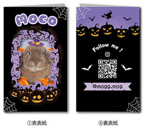 2つ折り型抜きペット名刺の外面画像