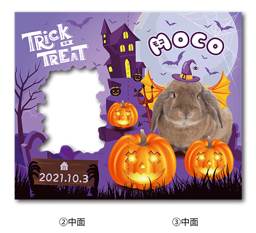 2つ折り型抜きペット名刺の中面画像