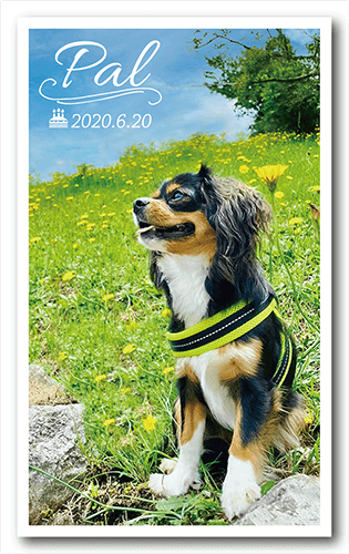 長方形ペット名刺の表面画像
