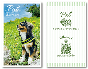 チンチラとデグーの（多頭飼い）2種類の型抜きペット名刺