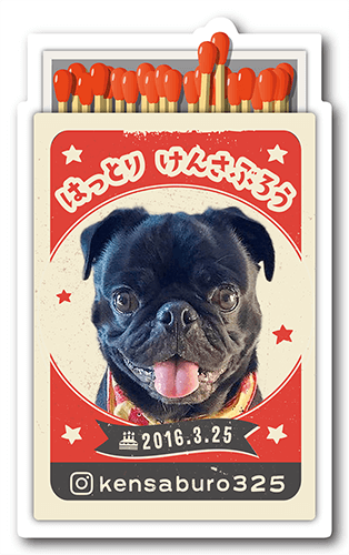 型抜きペット名刺画像