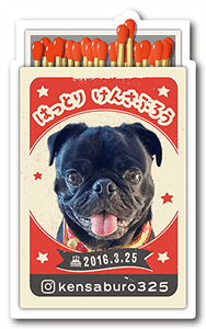 犬のペット名刺