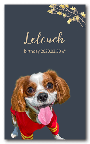 ペット名刺の表面画像