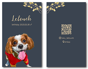 猫（多頭飼い）のペット名刺