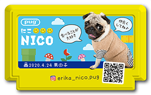 犬のペット名刺