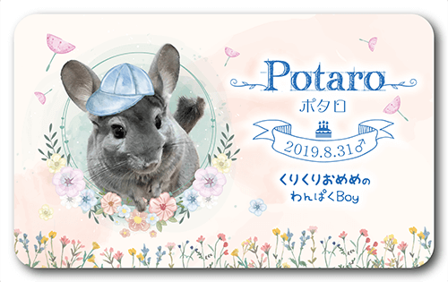 長方形ペット名刺の表面画像