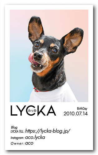 犬の長方形名刺画像