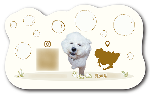 型抜きペット名刺の裏面画像