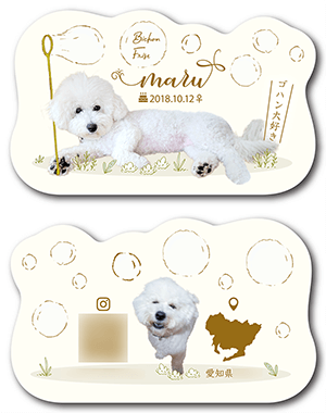 うさぎ（多頭飼い）のペット名刺