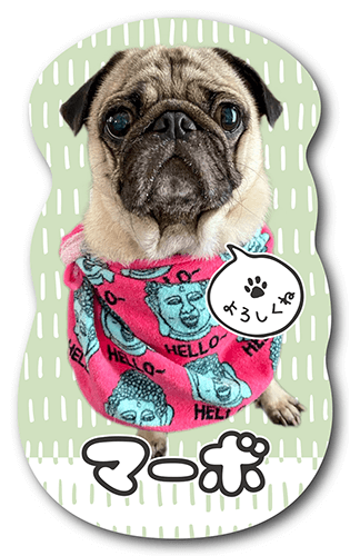 長方形ペット名刺の表面画像