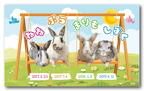 ペット名刺の表面画像