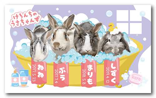 ペット名刺の表面画像