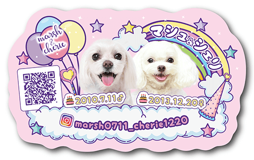 型抜きペット名刺画像