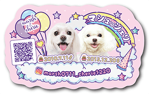 チンチラのペット名刺