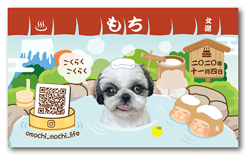 ペット名刺の表面画像