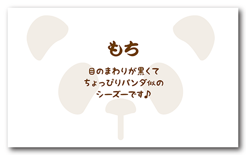 ペット名刺の裏面画像