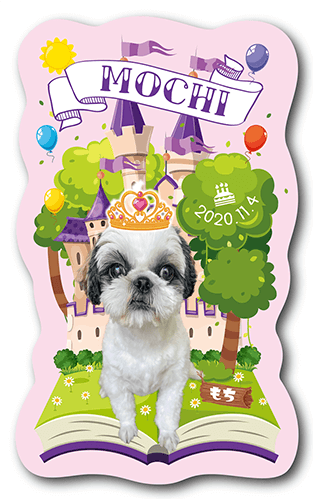 ペット名刺の表面画像